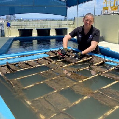 Researcher checking samples of bioplastics at Seaworld on the Gold Coast. Image, 喵喵直播 